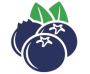 Berry Alive